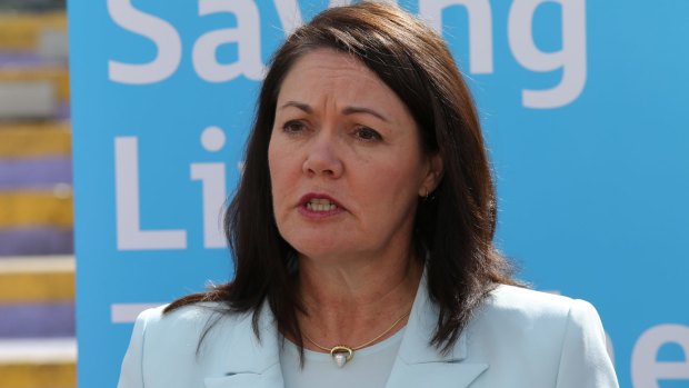 Deputy Liberal leader Liza Harvey told reporters on Monday morning there was a plot brewing to overthrow the premier.