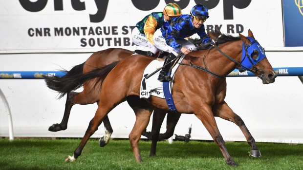 Damian Browne guides Buffering home to win the Moir Stakes at Moonee Valley on Friday.