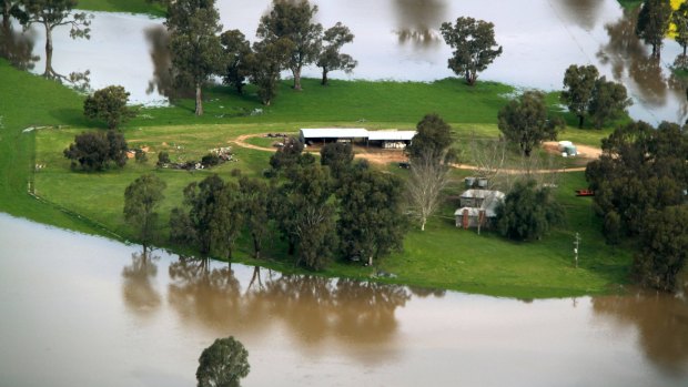 Wagga has been hit by flooding with a further "burst" of rain expected this weekend.