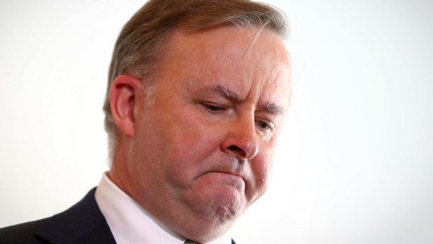 Anthony Albanese explains why he opposes plans for a same-sex marriage plebiscite. 