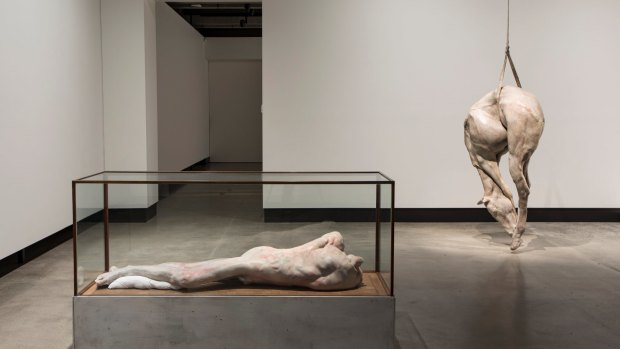 Berlinde De Bruyckere's sculptures <i>Lange eenzame man</i> (2010) and <i>P XIII</i> (2008) at MONA in Hobart.