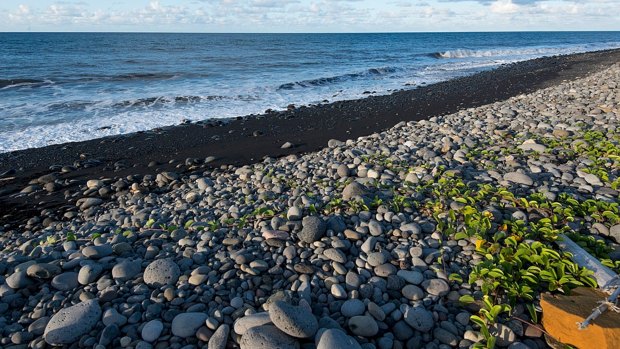The beach at Saint-Andre, Reunion island, where a wing part was found earlier.