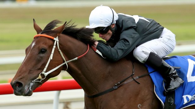 Big two weeks: A good run in Saturday's Doncaster Prelude will see Leebaz back up in the famous mile next weekend.