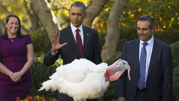 Thanksgiving. US National Turkey Federation chairman Jihad Douglas, right, watches as US President Barack Obama pardons National Thanksgiving Turkey Abe, during a ceremony in the Rose Garden of the White House in Washington on Wednesday.