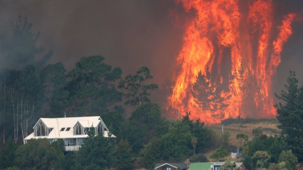 Flames leap out of a large pine plantation behind Westmorland along Worsleys Spur, Port Hills.
