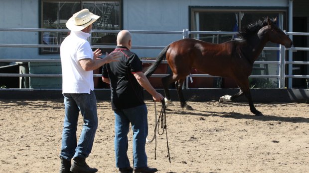 Horse whispering: Scott Brodie and Max Streeter with Integrand. 