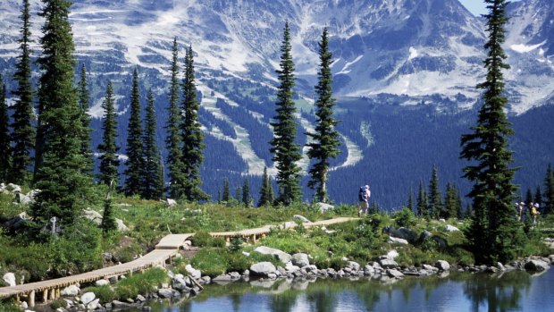 A hiker on Whistler Mountain, Canada.