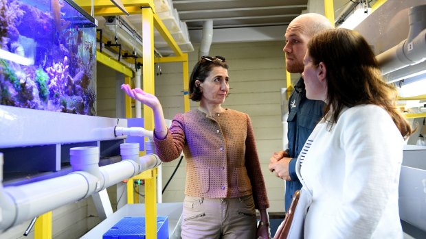 Gladys Berejiklian talks to technicians at the Sydney Institute of Marine Science.