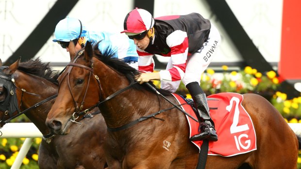 Derby man: Champion rider Hugh Bowman will be hoping to add to his impressive tally of Victoria Derby success on So Si Bon.