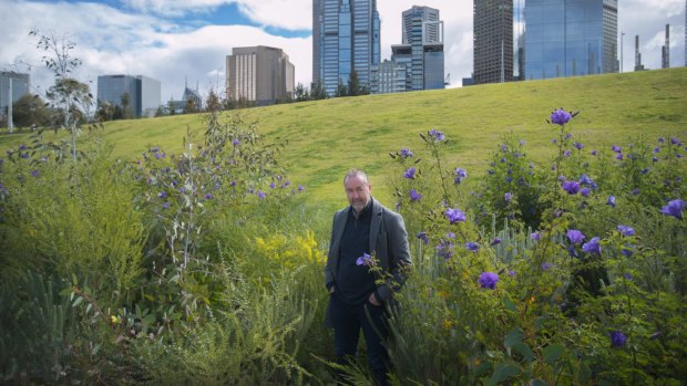John Rayner in the trial meadow at Birrarung Marr.