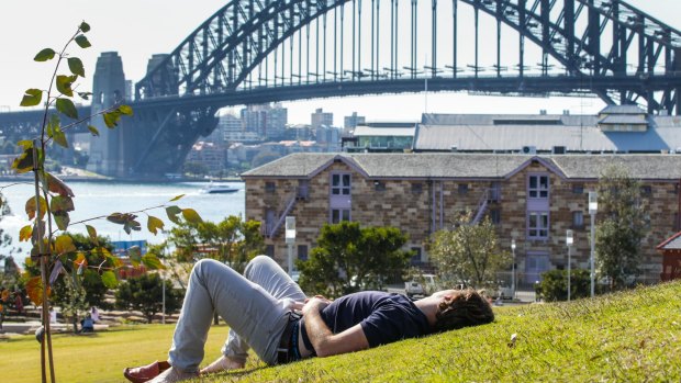 A man catches some sun at Barangaroo Reserve on its first day open to the public. 
