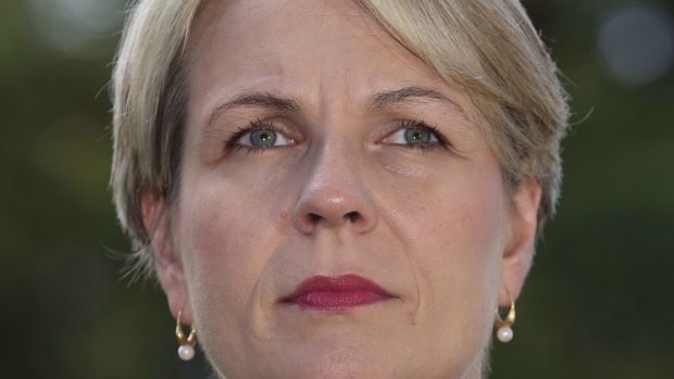 Labor's foreign spokeswoman Tanya Plibersek says if Mr Abbott believes Australia should be involved in Syria "he should make a case to the Australian people" in the Parliament.