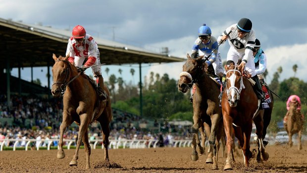 Santa Anita will again host the Breeders' Cup in November.