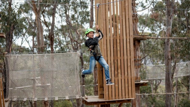 Take a zipline ride at Live Wire Park, Lorne.