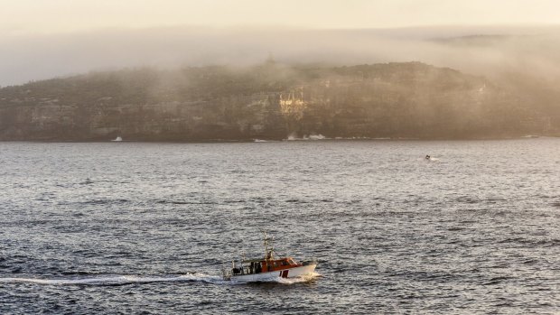  High humidity created a thick blanket of fog in Sydney.