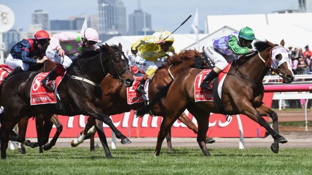 Prince of Penzance wins the Melbourne Cup.