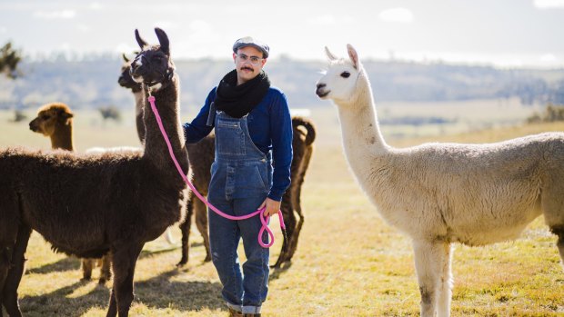 23-year-old Mark Ayyad is hoping to start his own llama farm at Tarlo.

