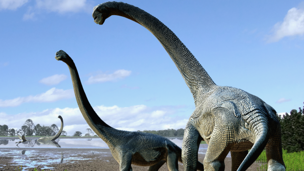 An artist's impression of the new dinosaur, Savannasaurus elliottorum.