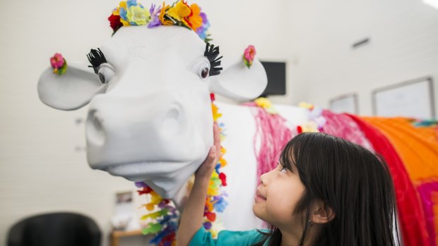 Palmerston District Primary year 2 student Annabelle Ngo with the fibreglass cow the school will decorate as part of Dairy Australia's Picasso Cows program. 