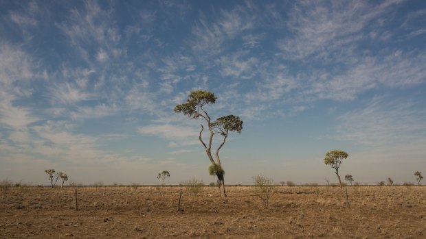 Dry conditions in western Queensland may spread further over winter.