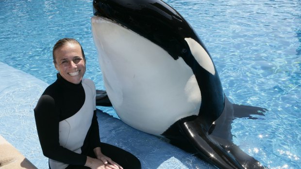 seaworld shamu attack video
