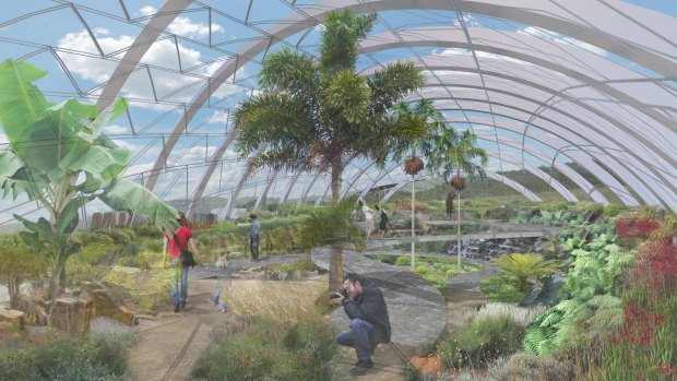 An artist's impression of the conservatory from the Australian National Botanic Gardens' master plan.