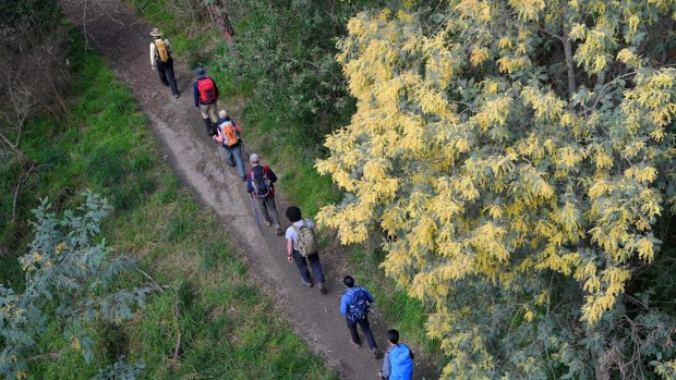 Bushwalkers and other travellers may inadvertently spread a fungus that is deadly for dozens of native plant species.