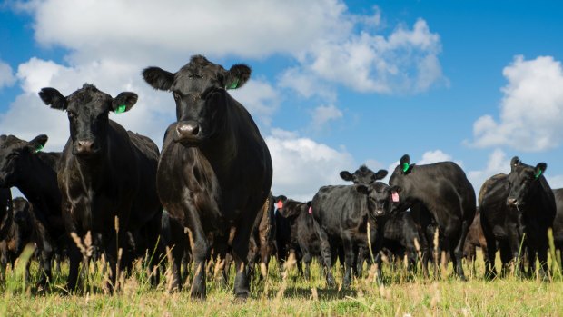 Australia's red meat industry sees significant potential export opportunities in Britain after Brexit.