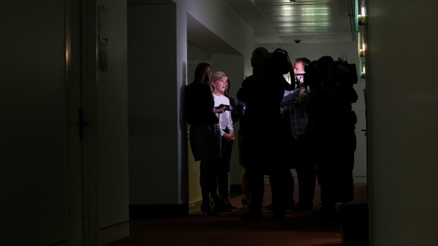 Foreign Minister Julie Bishop speaks to the media at Parliament House earlier this week.