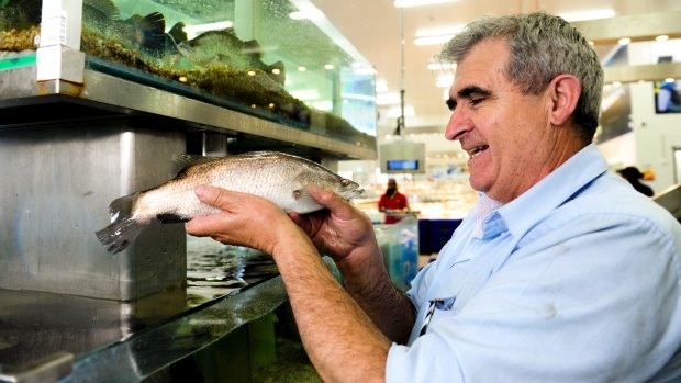 John Fragopoulos, pictured holding a barramundi in his FishCo store in Fyshwick last year.