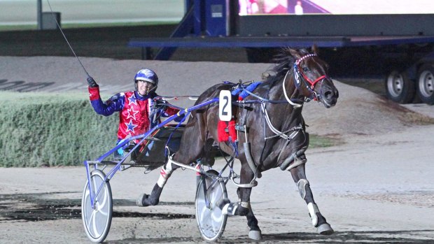 Impending ban: United Harness Racing Association opposes the proposed whip ban but says there should be harsher penalties for those breaking the rules.