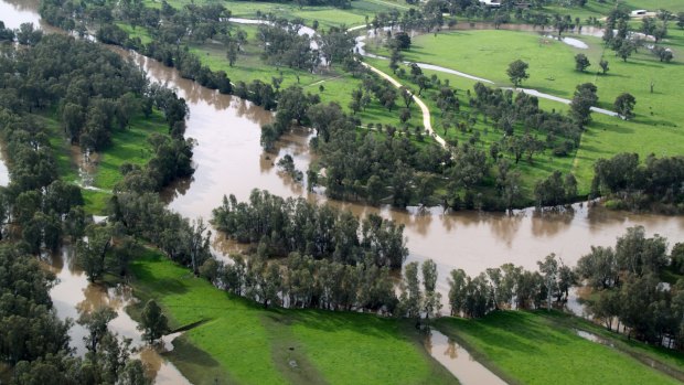 Floods hit Wagga Wagga this month.