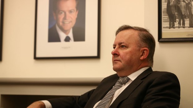 Labor frontbencher Anthony Albanese is one of several Labor MPs considering changing seats after changes in electorate boundaries were announced last week.