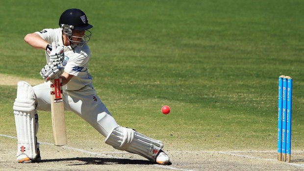 Stonewalling: NSW batsman Nic Maddinson.