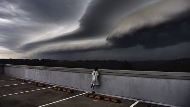 Cleopatra Moir watches as shelf cloud rolls into Sydney.
