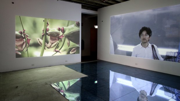 James Eisen's video and sculptural installation Beauty &.