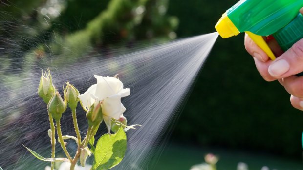 SGA's  proposed app will make it easier to choose safe garden pesticides.