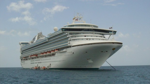 An American man is believed to have fallen overboard from the Golden Princess.
