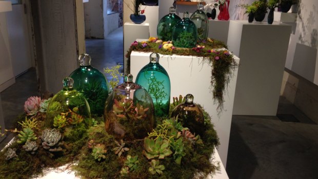 Glass vessels by Amanda Dziedzic and botanical arrangements by Amalie Shawcross, part of the Fresh Glass show at Canberra Glassworks.