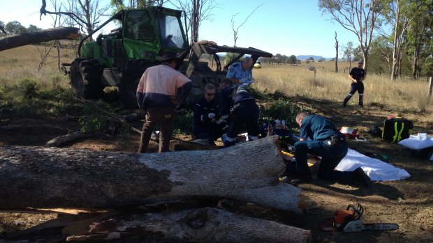 Paramedics and CareFlight rescue helicopter workers treat the man after a gum tree fell on him south of Warwick.