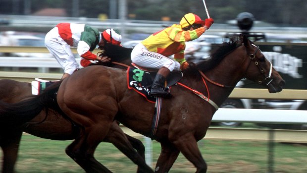Multiple champion sire Redoute's Choice had two winners.