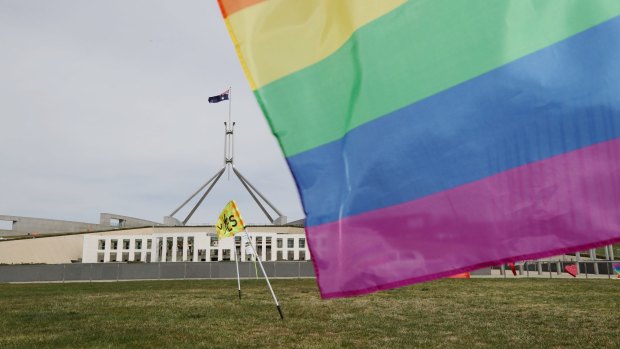 Digital youth service ReachOut said it has seen a 20 per cent surge in people accessing its online advice relating to LGBTIQ issues since August.