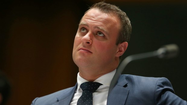 Tim Wilson is prepared to take a $200,000 pay cut to make "tough decisions".