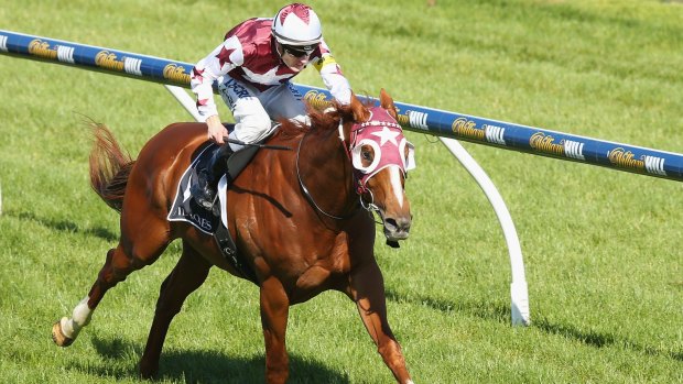 Top pick: Stratum Star is favoured for the Mackinnon.