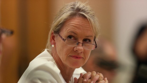 NSW Nationals Senator Fiona Nash ... new deputy leader. 