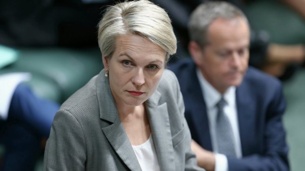 Labor education spokeswoman Tanya Plibersek advocated for the shared equity model in 2007. 