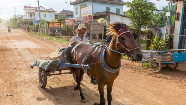 Horse drawn cart in the village of Angkor Ban, on the banks of the Mekong River, Battambang.