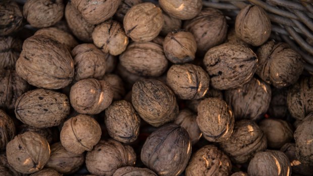 Chestnut and walnut growers had been "absolutely smashed", says Anne Elliott, the leader of the Slow Food movement in the Blue Mountains.