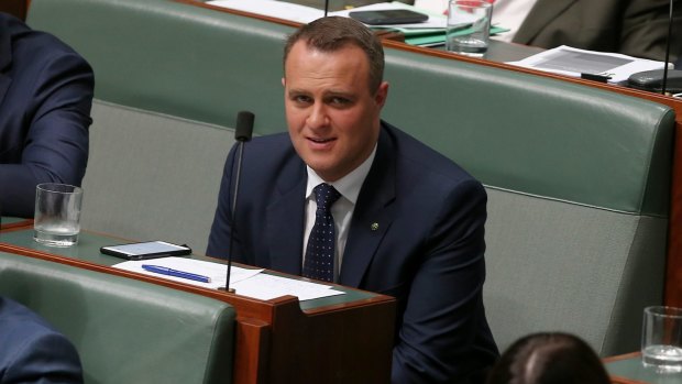 Victorian Liberal MP Tim Wilson is one of several Liberal MPs pushing for a free vote on same-sex marriage.