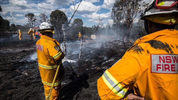 A Rural Fire Service crew extinguishes a grass fire in Luddenham near Penrith on Wednesday. 